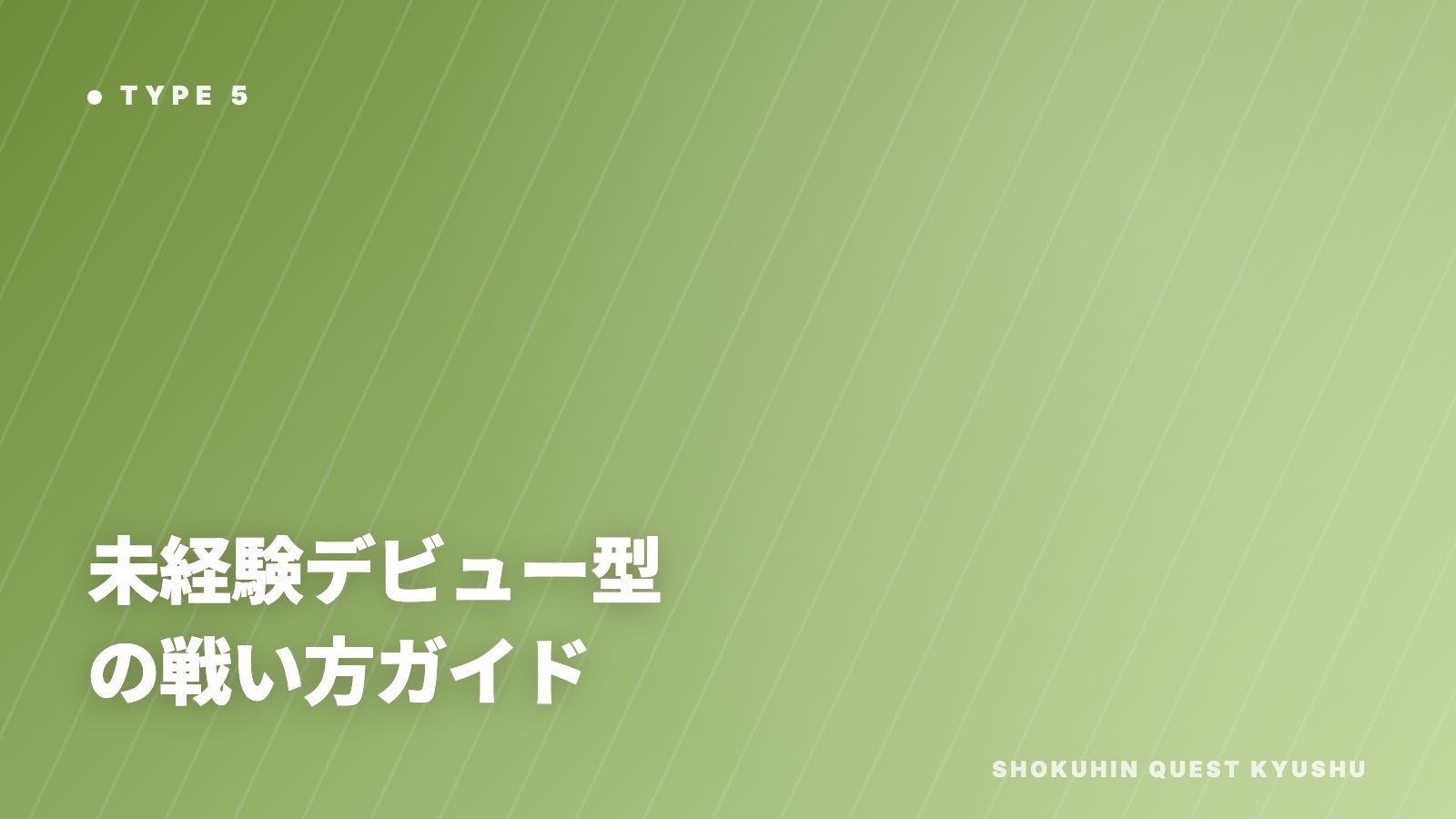 未経験デビュー型の戦い方ガイド 表紙